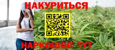 гашик Будённовск