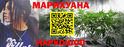 гашик Будённовск