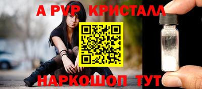 гашик Будённовск