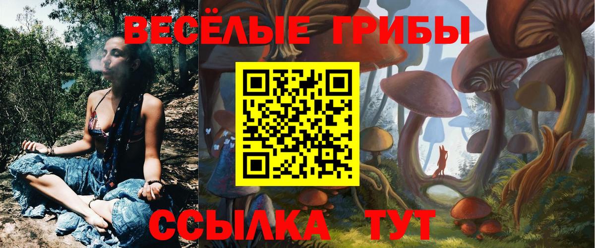 Псилоцибиновые грибы GOLDEN TEACHER Урюпинск